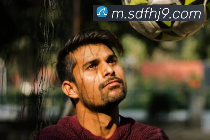 奖项证书